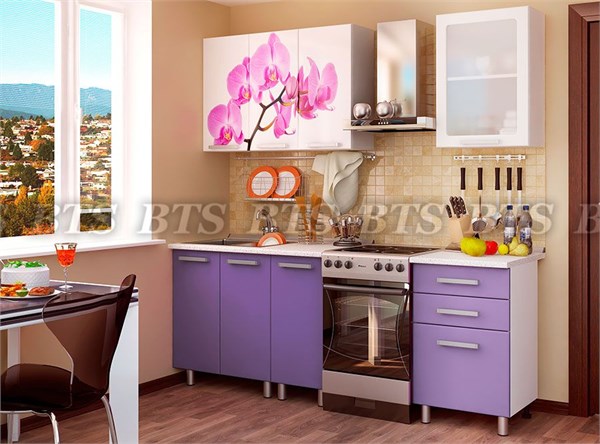 Орхидея 15318