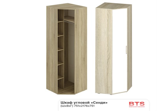 Шкаф угловой Сенди ШК-01 15786