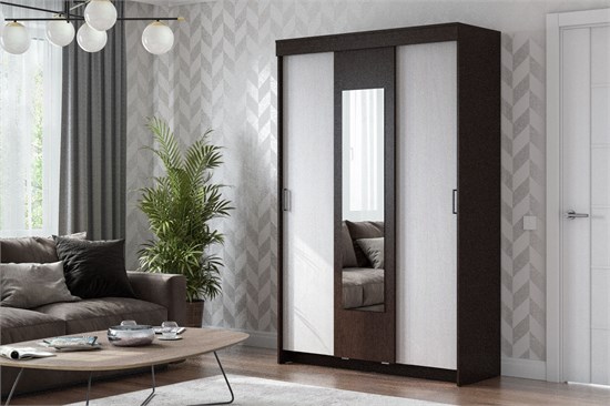 Шкаф купе ШКП-2 15813