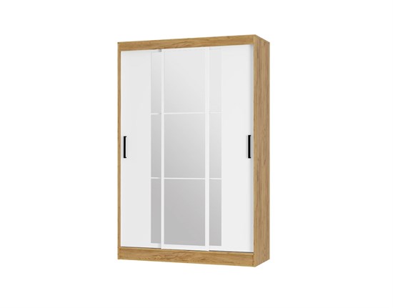 Шкаф-купе "Тайм" ШКК-03 15814