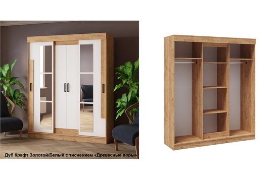 Шкаф - купе Твист 15819