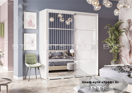 Шкаф-купе Крафт-6 15838
