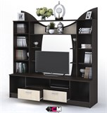 Ольбия Центральная секция 15196